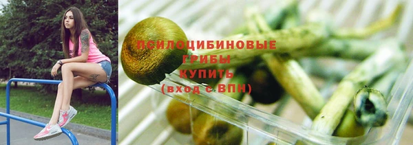 круглые Вяземский