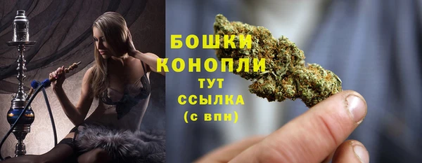 стафф Михайловск