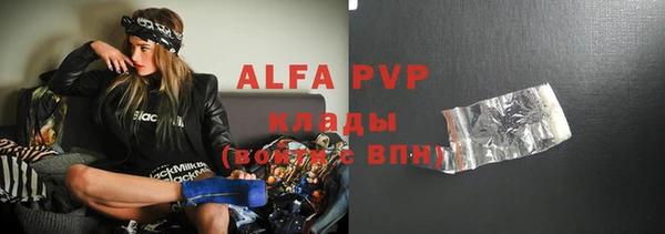 стафф Михайловск