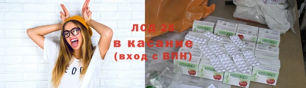 стафф Михайловск