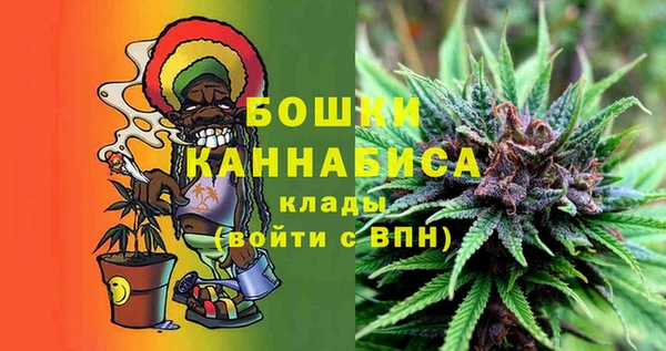 стафф Михайловск