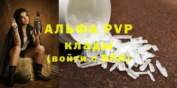 стафф Михайловск