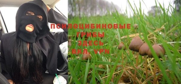 тгк Медногорск