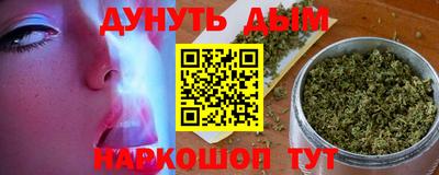 дмт Кингисепп