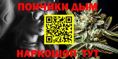 дмт Кингисепп