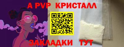 дмт Кингисепп