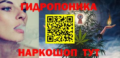 дмт Кингисепп