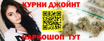 дмт Кингисепп