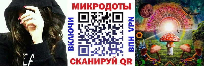 Галлюциногенные грибы Psilocybe  Мыски 